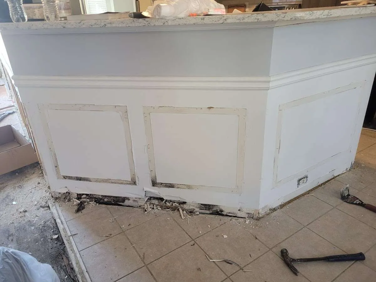 Water damage and mold on kitchen during Mold Inspection & Testing in San Francisco